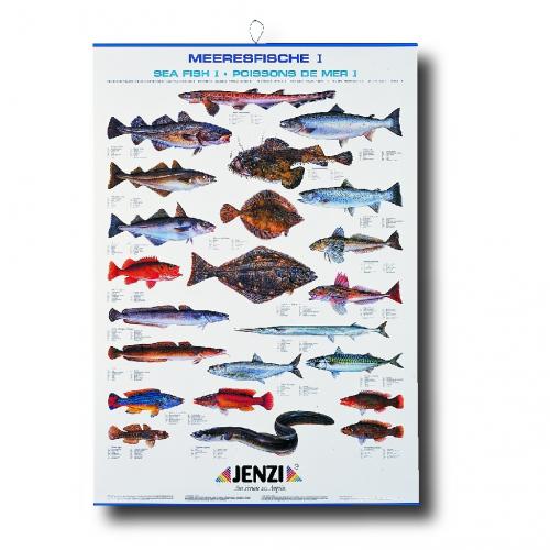 Sea Water Fish Chart, size 100/69cm